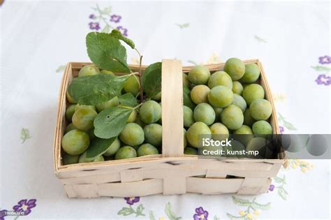 Panier de prunes fraîchement cueillies
