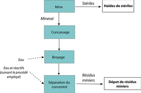 Schéma illustrant les rejets du framboisier