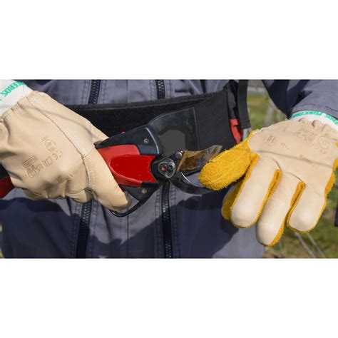 Outils de taille pour framboisiers (sécateur, gants)