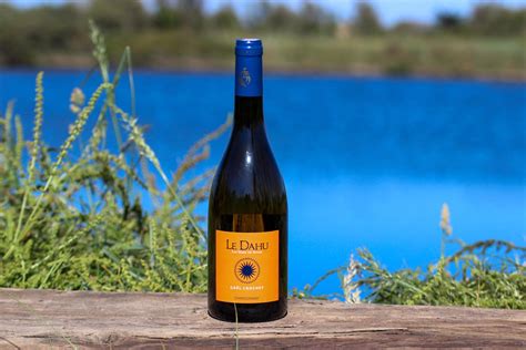 Vignoble et vignerons de Brem sur Mer