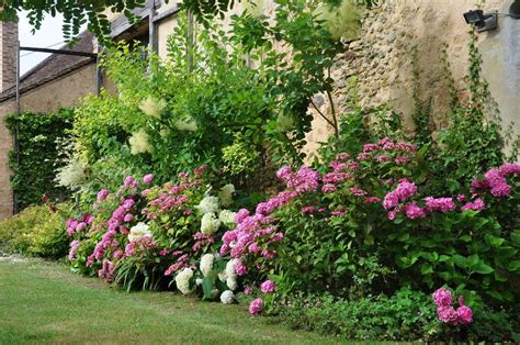 Exemple d'aménagement paysager avec hortensias blancs et rosiers