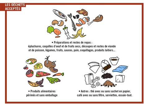 Illustration des nuisibles attirés par les déchets de viande et produits laitiers dans un compost non géré