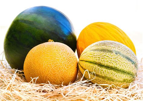 Assortiment de melons Vendéens