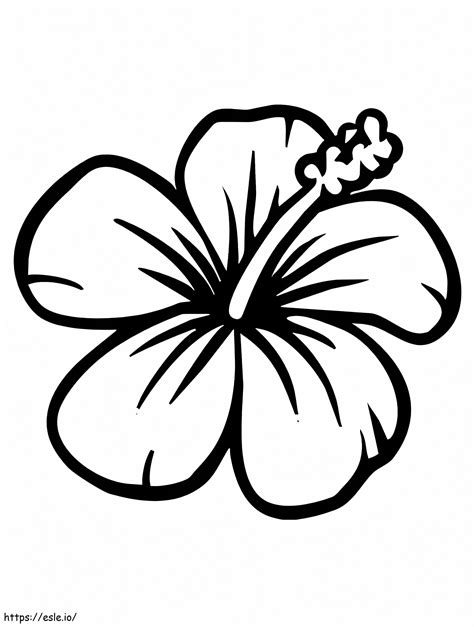 Dessin ou photo d'une fleur d'hibiscus blanc éclatant