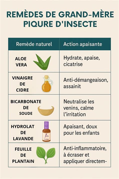 table des remèdes naturels pour piqûres d'insectes