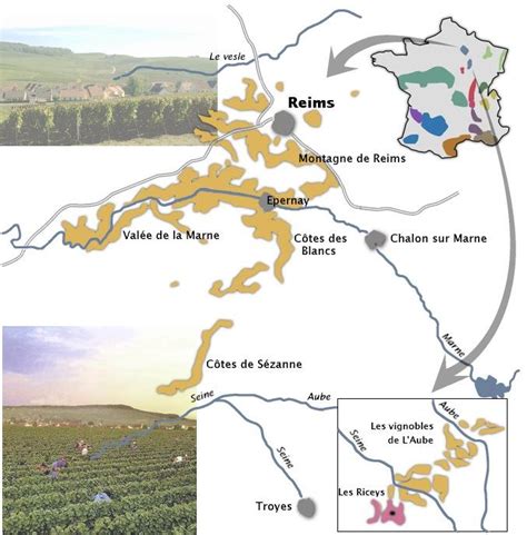 Vignoble de Champagne avec des vendangeurs