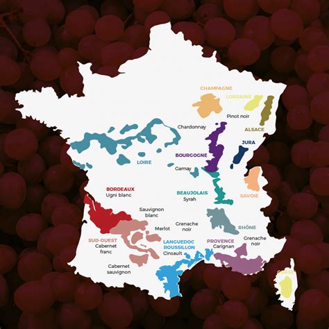 Carte de la Champagne montrant la répartition des cépages