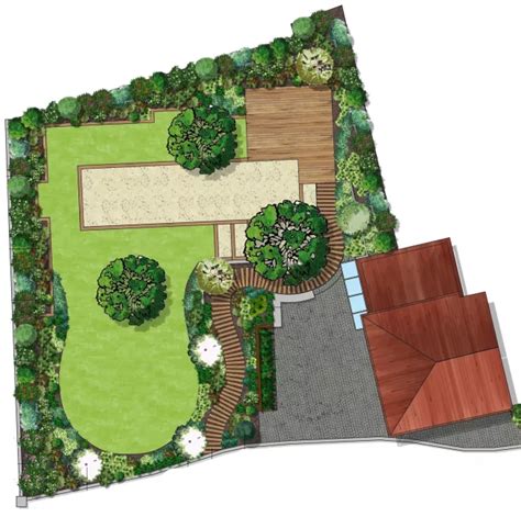 Plan d'aménagement d'un jardin sec avec un figuier en isolé