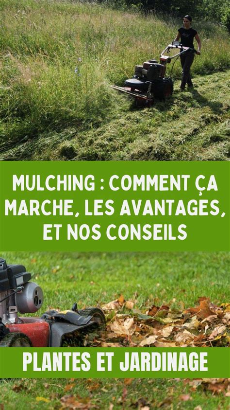 Infographie sur les avantages écologiques du mulching