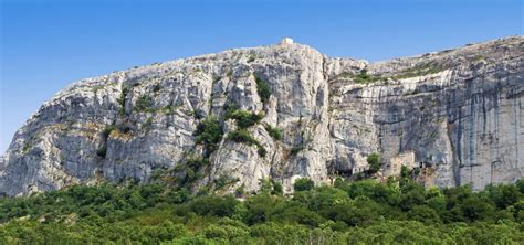 Comparaison des écorces de lierre de la Sainte-Baume et des Calanques