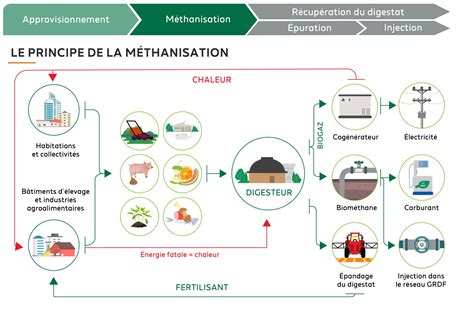 Schéma d'une unité de méthanisation avec récupération de CO2