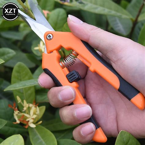 Outils de taille de bonsaï : sécateurs, ciseaux, coupe-branches