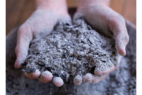 tableau comparatif biochar vs cendres de bois vs cendres de charbon