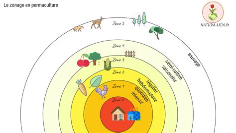 Schéma de zonage d'un terrain en permaculture