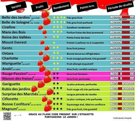 Tableau comparatif des périodes de récolte des différentes variétés de figuiers