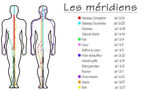 Schéma des méridiens du pied en médecine chinoise