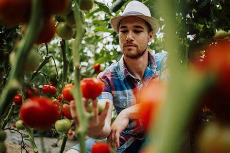 Maraîcher travaillant une parcelle en agriculture biologique