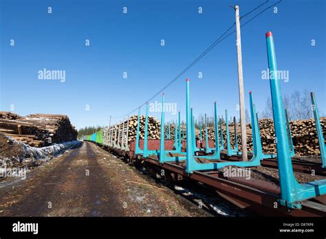 Vue d'un dépôt de grumes avec système de rails Decauville