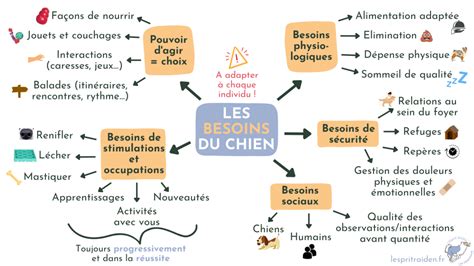 Infographie des besoins saisonniers essentiels du Lys