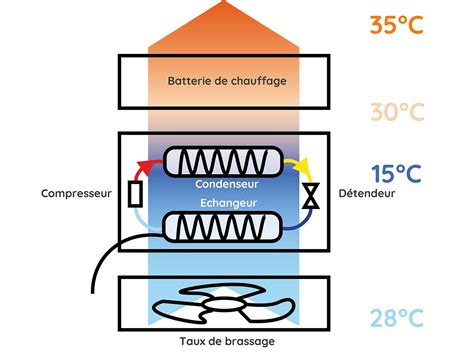 Diagramme simplifié du fonctionnement d'un déshumidificateur en serre pour la culture du lys