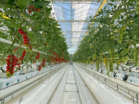 Serre agricole moderne