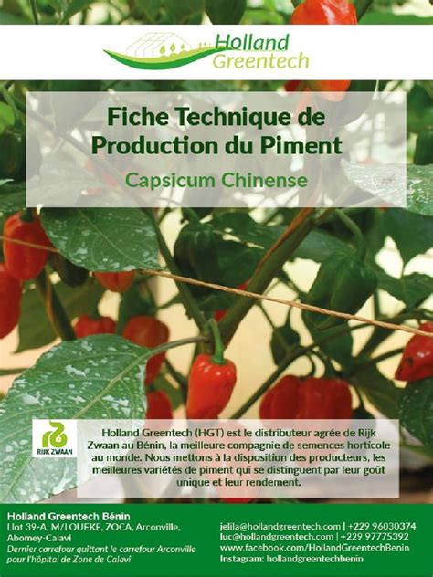 Schéma de culture du piment oiseau