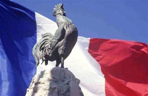 Coq gaulois, symbole de la France