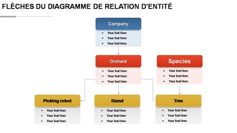 Diagramme comparatif montrant la relation entre la surface du jardin et le type de scarificateur recommandé