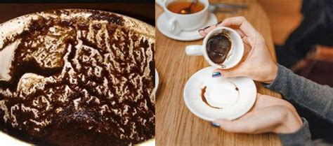 Origines géographiques de la cafédomancie
