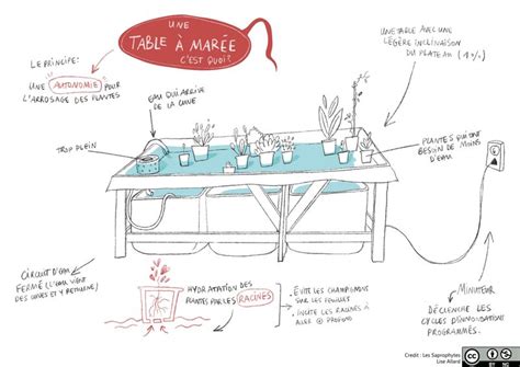 Diagramme d'un système de table à marée