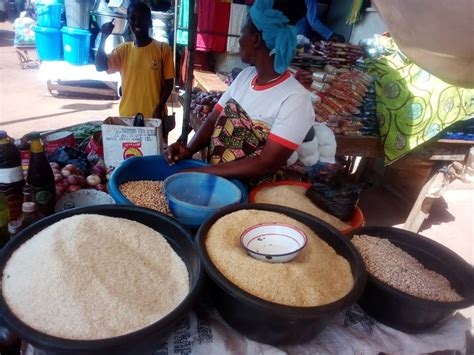 Infographie comparant la diversité des semences traditionnelles et des semences modernes