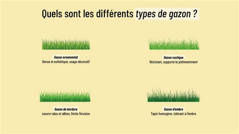 Schéma comparatif des différents types de gazon naturel et leurs caractéristiques