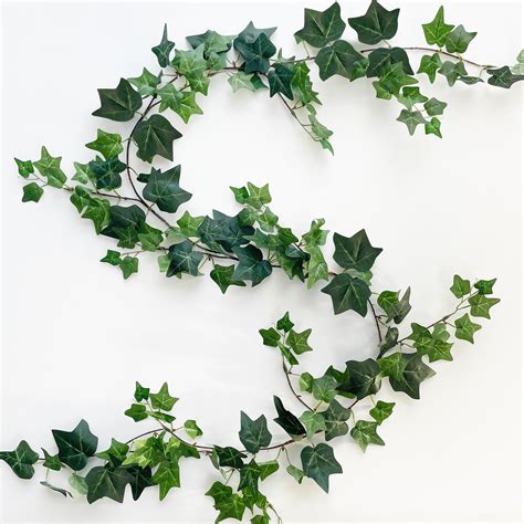 Guirlande de lierre pour décoration