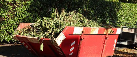 Évacuation des déchets verts après élagage