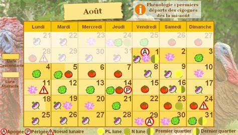 calendrier permaculture août