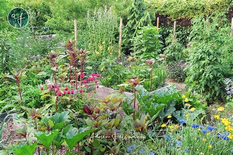 jardin permaculturel en hauteur