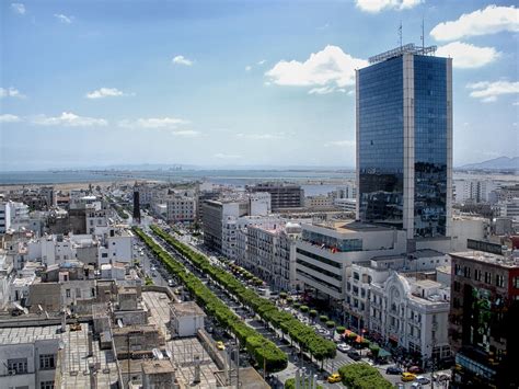 paysage urbain de Tunis avec un jardin bien entretenu au premier plan