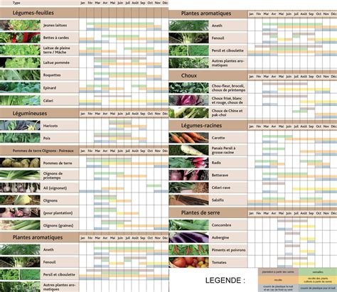 Calendrier de plantation et de récolte des légumes courants