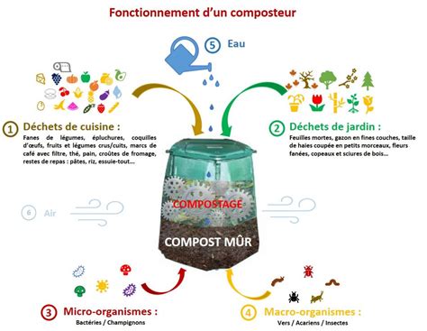 Schéma illustrant le cycle biologique du compostage domestique et industriel