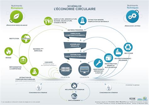 Diagramme représentant les flux de matières dans une économie circulaire locale