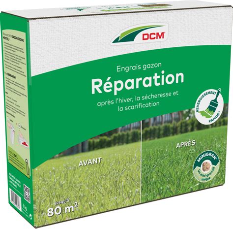 Réparation de gazon