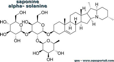 Structure chimique d'une saponine