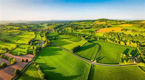 Paysage agricole de Sainte-Sigolène