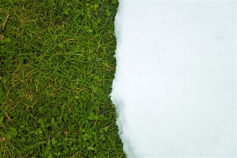 Pelouse sous la neige