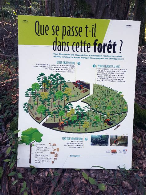 Panneau d'information sur les bonnes pratiques en forêt