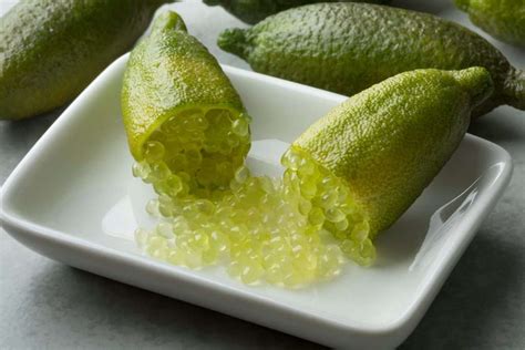 Fruits de citron caviar ou finger lime