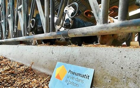 Infographie sur les sensations associées au béton Pneumatit