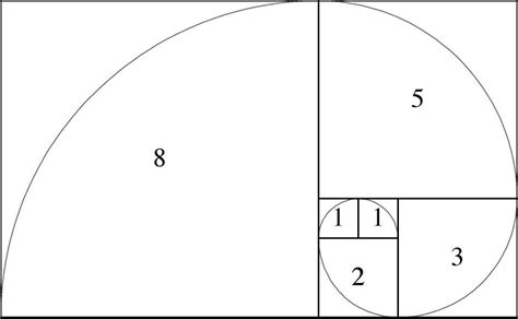 Représentation du Nombre d'or dans la nature (spirale)