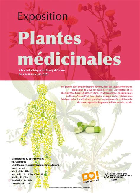 Infographie sur les plantes médicinales consommées par les ruminants