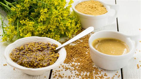 Graine de moutarde et plante adulte